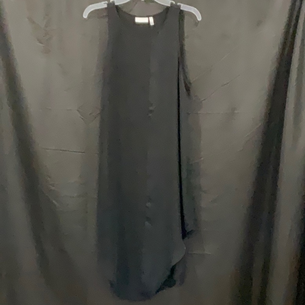 Leith Sheer Top/ mini dress